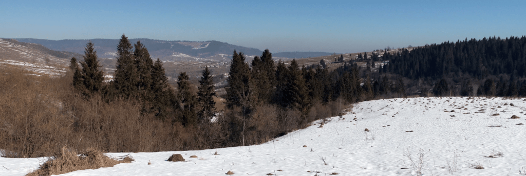 Безголосся Wоrdless Wortlos